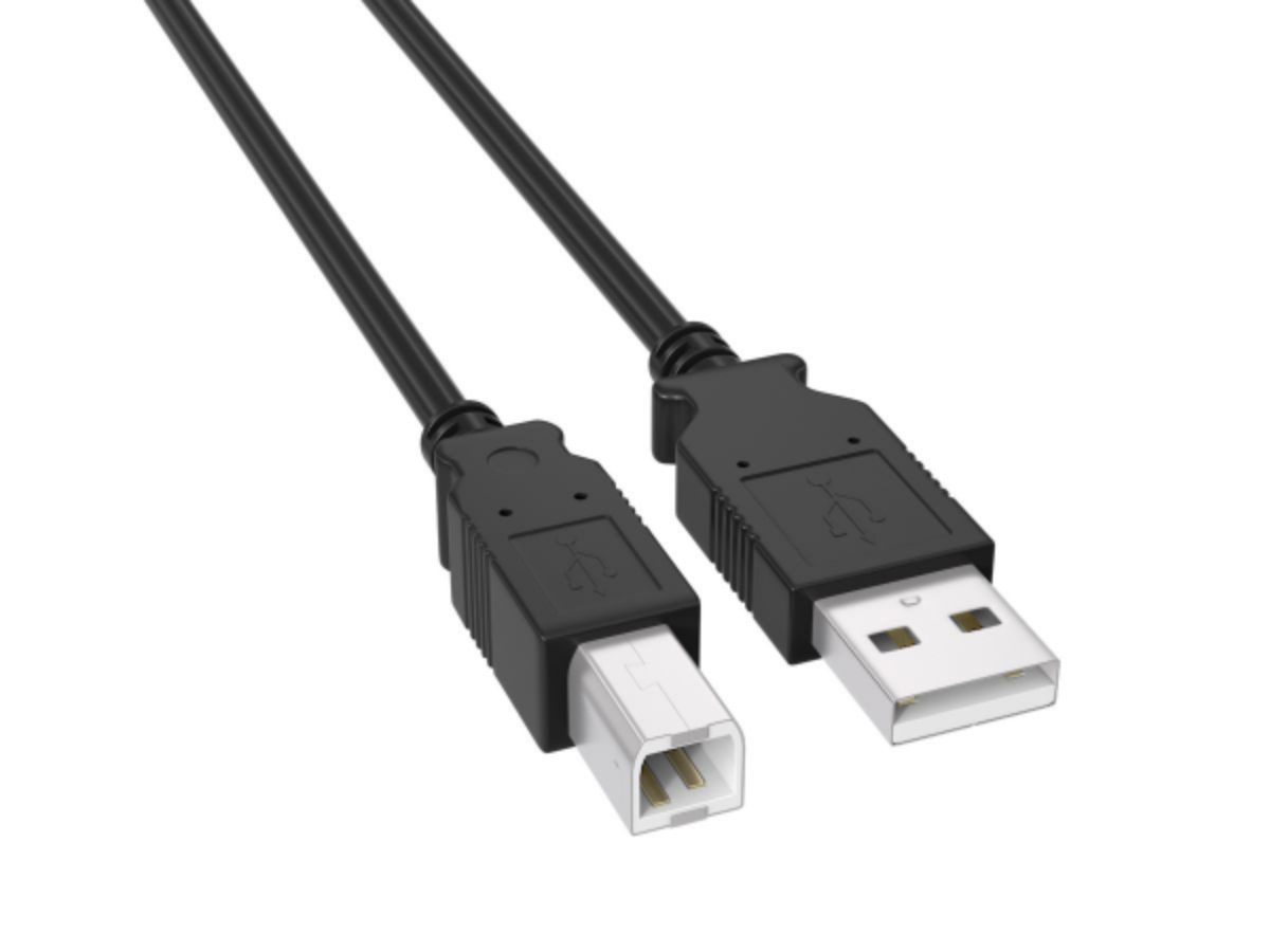 Black USB cable with a Type A connector on one end and a square Type B connector on the other